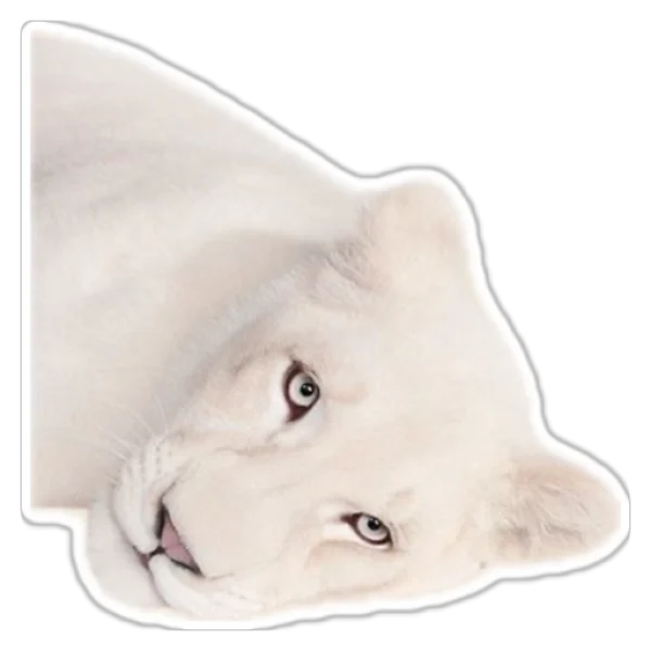 08a953d7-8ca2-4c62-8ab0-17e6f098e97e