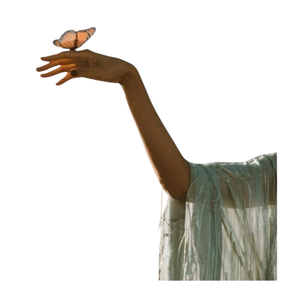 Untitled design (16)